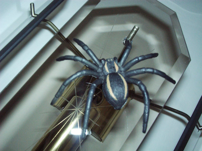 manyagspider