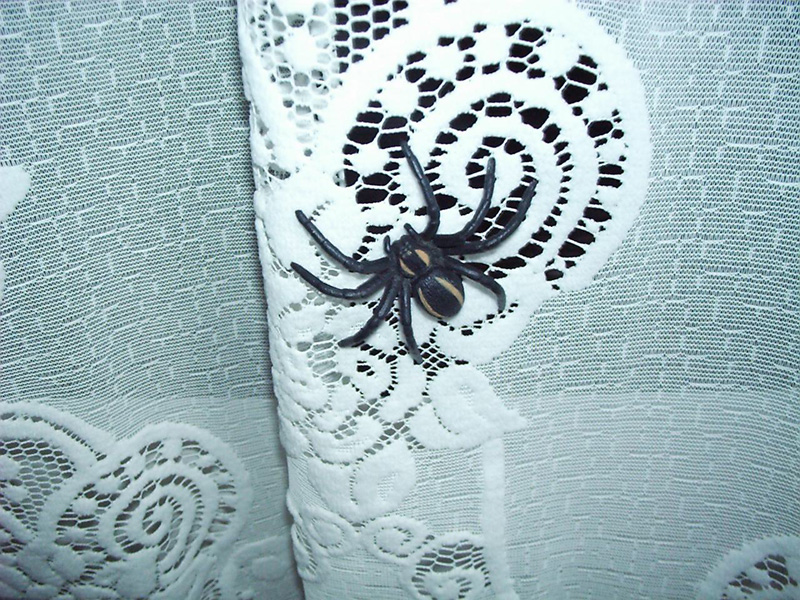 manyagspider
