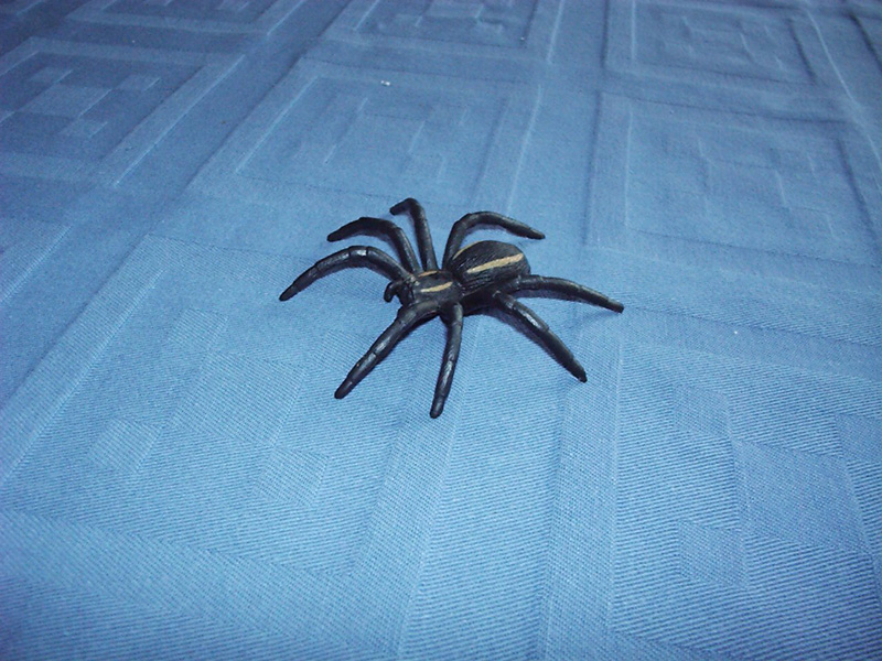 manyagspider